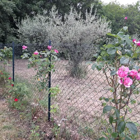 Masseria Del Ponte Pretoro