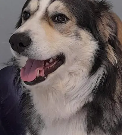 Landhuis Masseria Del Ponte *