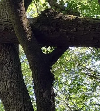 Masseria Del Ponte Landhuis Pretoro