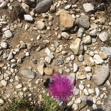 Landhuis Masseria Del Ponte *