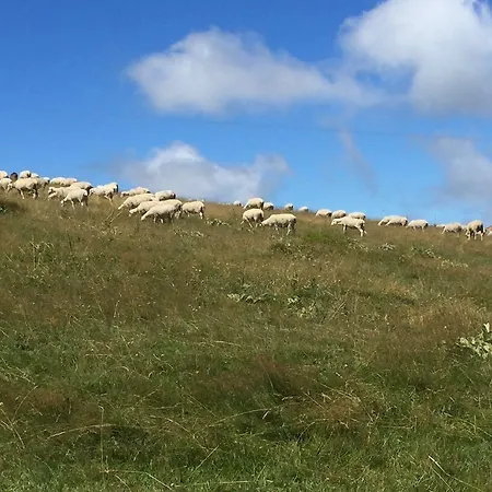 Masseria Del Ponte Landhuis *